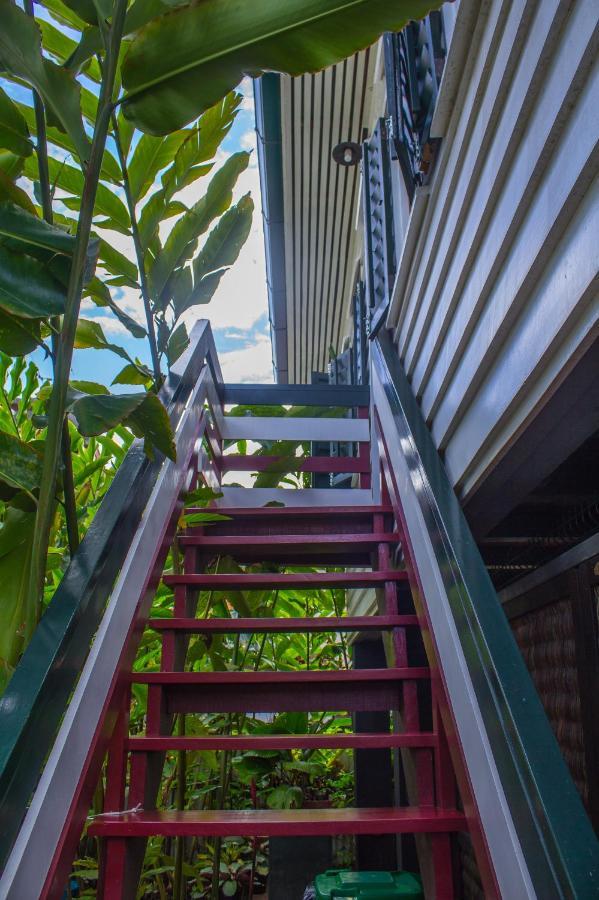 Couleur Locale Paramaribo Exterior photo